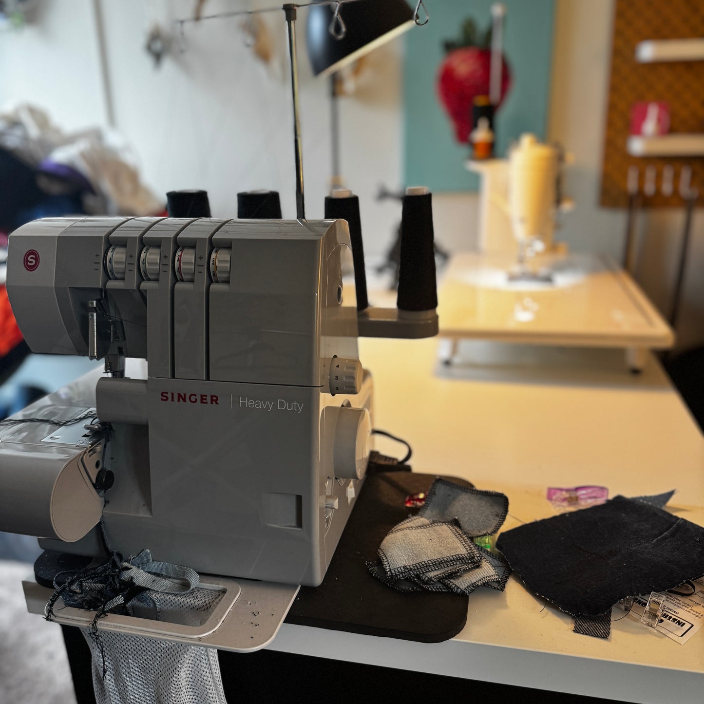 Private Sewing Lessons with Monetta